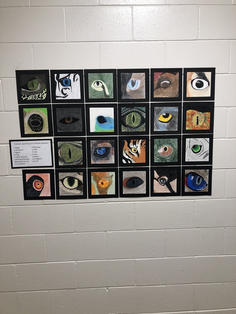 Eye art