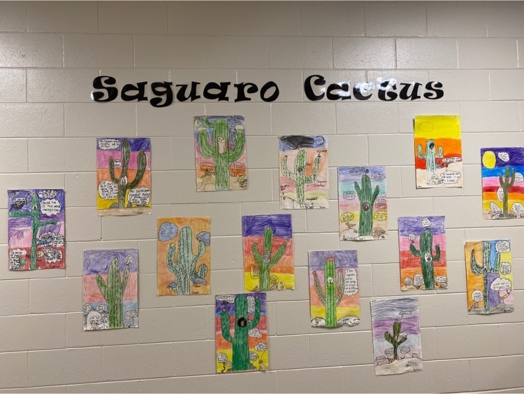 3rd Grade Saguaro Cactus